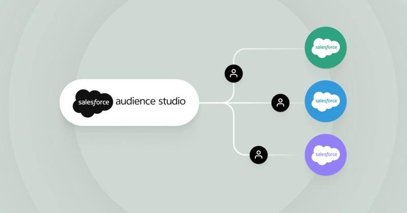 Salesforce Audience Studio.