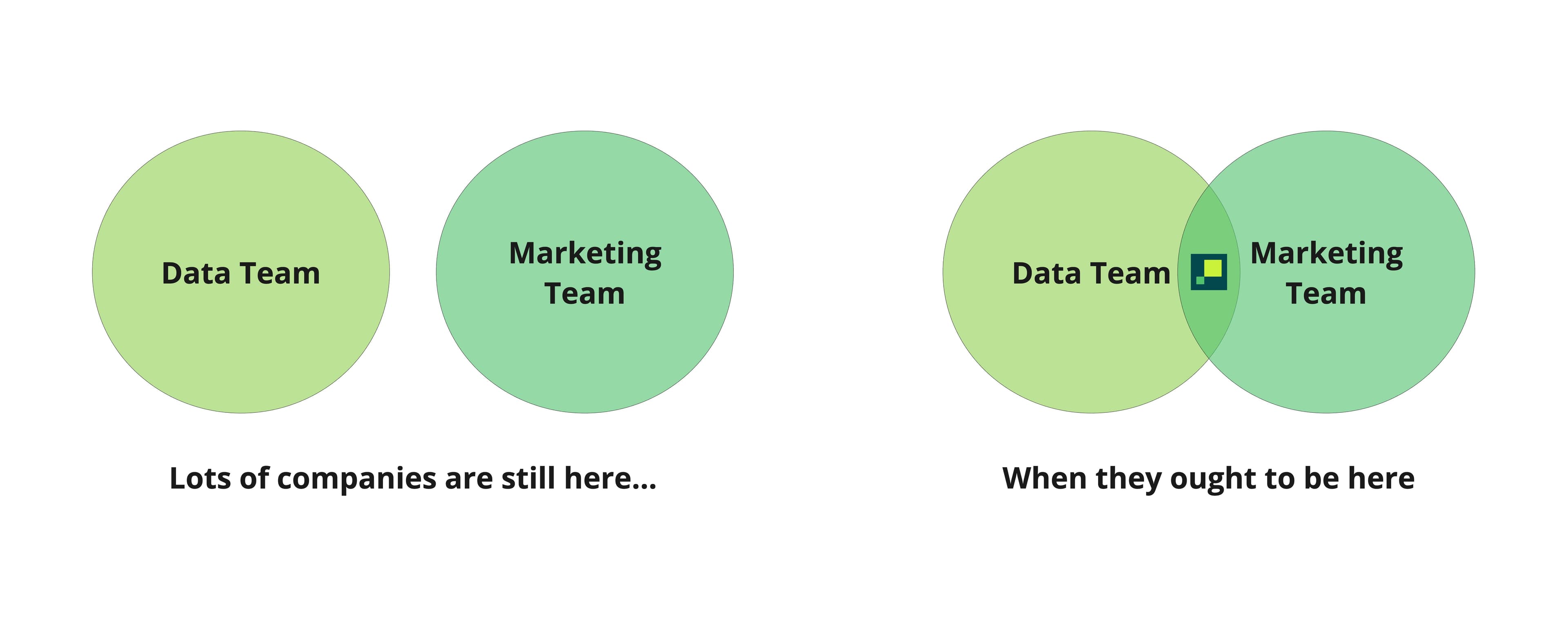 the data and marketing bridge